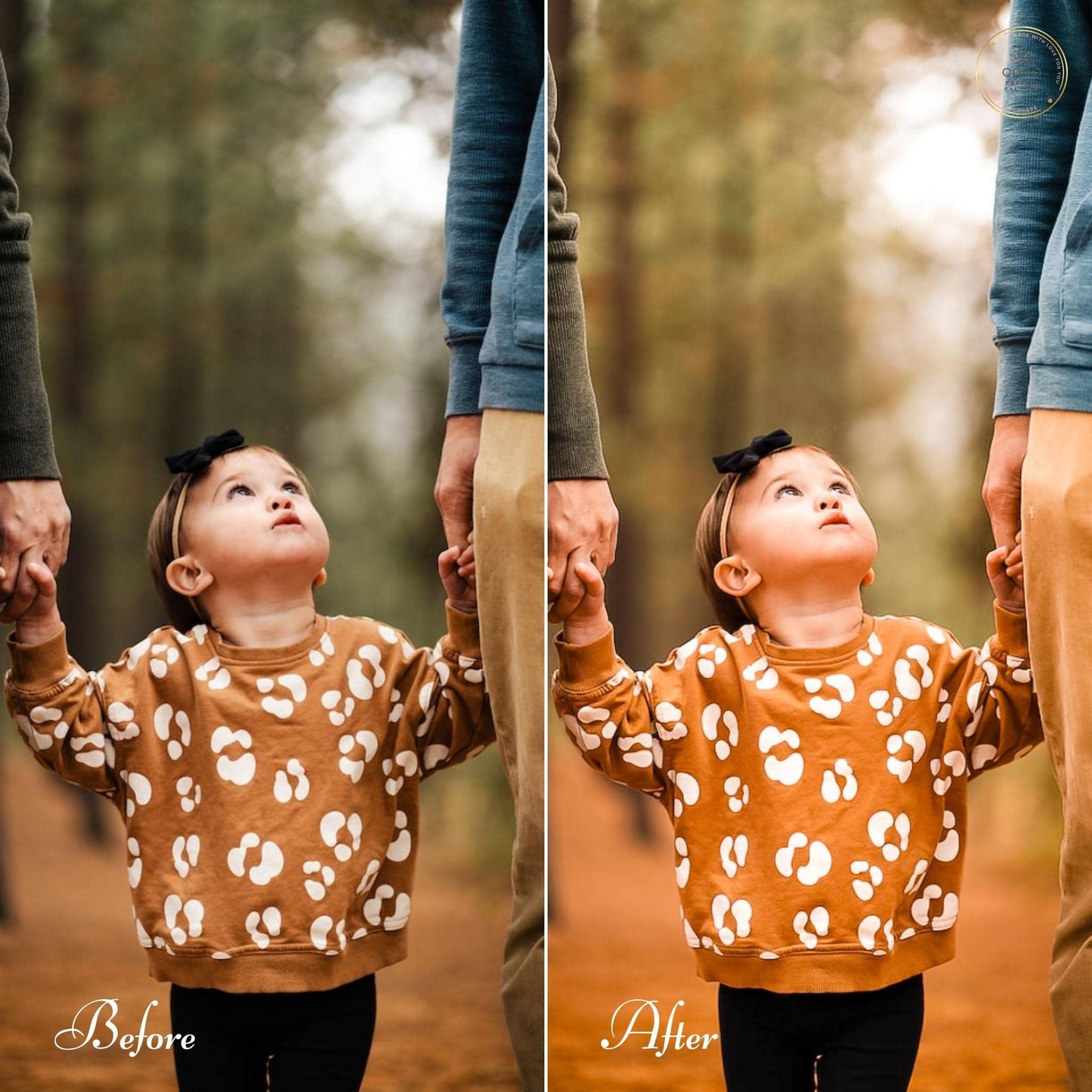 Autumn Chic Lightroom Mobile Presets