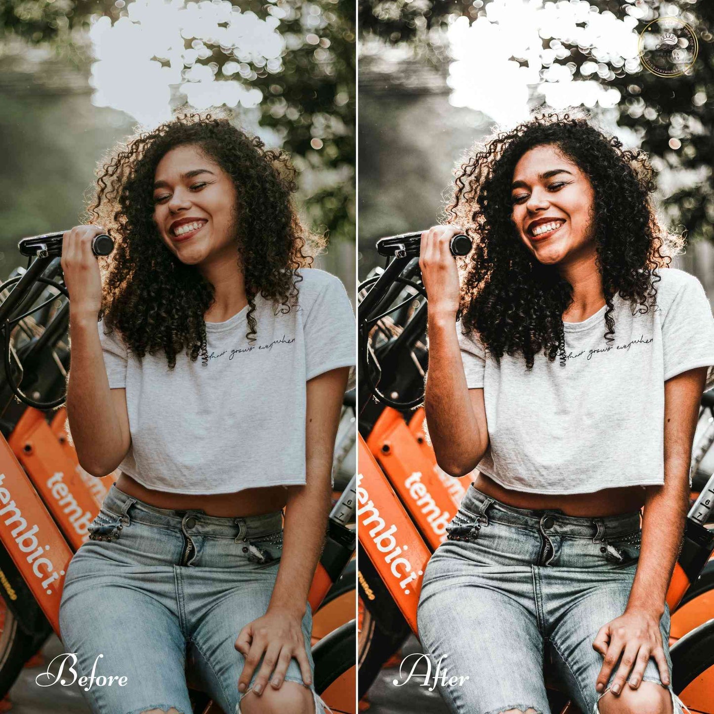 Bronze Shine Lightroom Mobile Presets